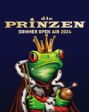 Die Prinzen - Sommer Open Air 2024
