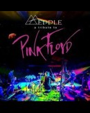 Meddle - a tribute to Pink Floyd