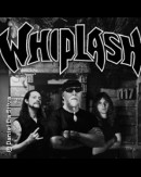 Whiplash - 40 Years of Power and Pain