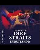 One Night of Dire Straits - Tribute Show