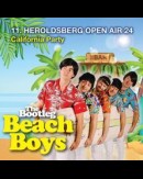 The Bootleg Beach Boys - Open Air