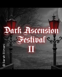 Dark Ascension Festival II: Suicide Commando, N.E.O. und Placebo Effect