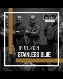Stainless Blue - TheHidden
